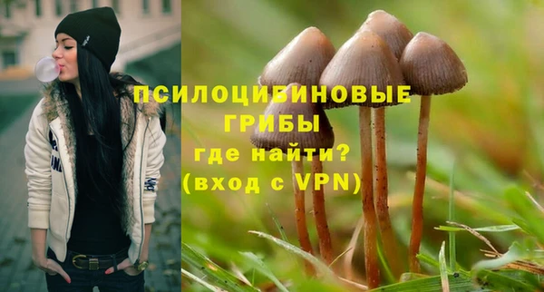 MESCALINE Арсеньев